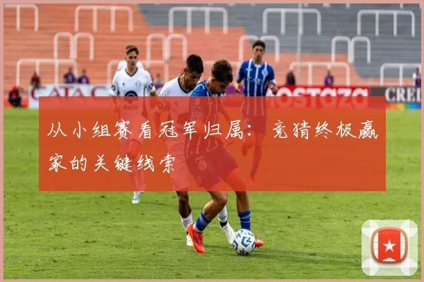 从小组赛看冠军归属：竞猜终极赢家的关键线索