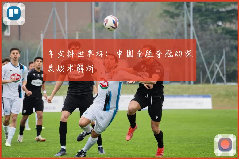 年女排世界杯:中国全胜夺冠的深度战术解析