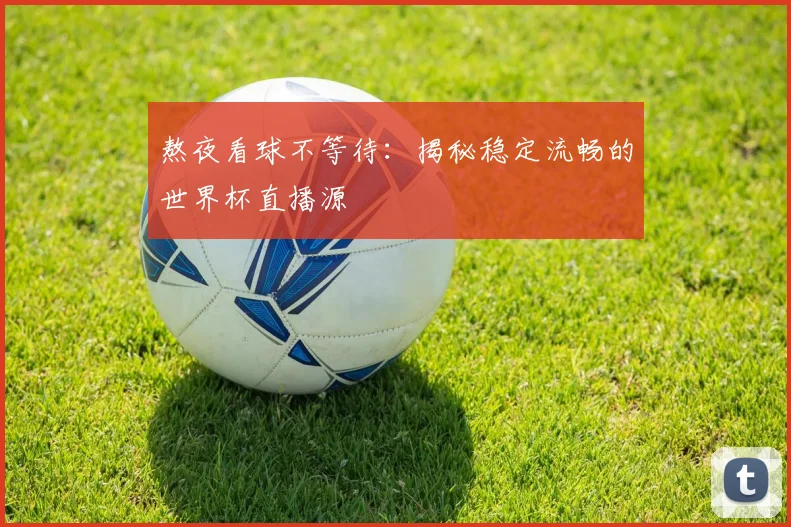 熬夜看球不等待：揭秘稳定流畅的世界杯直播源